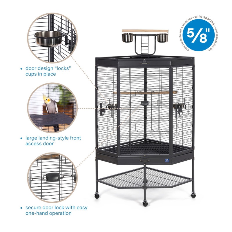 Prevue Hendryx Corner Bird Cage Reviews Wayfair